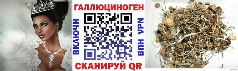 где купить наркоту  Углич  Псилоцибиновые грибы мухоморы 