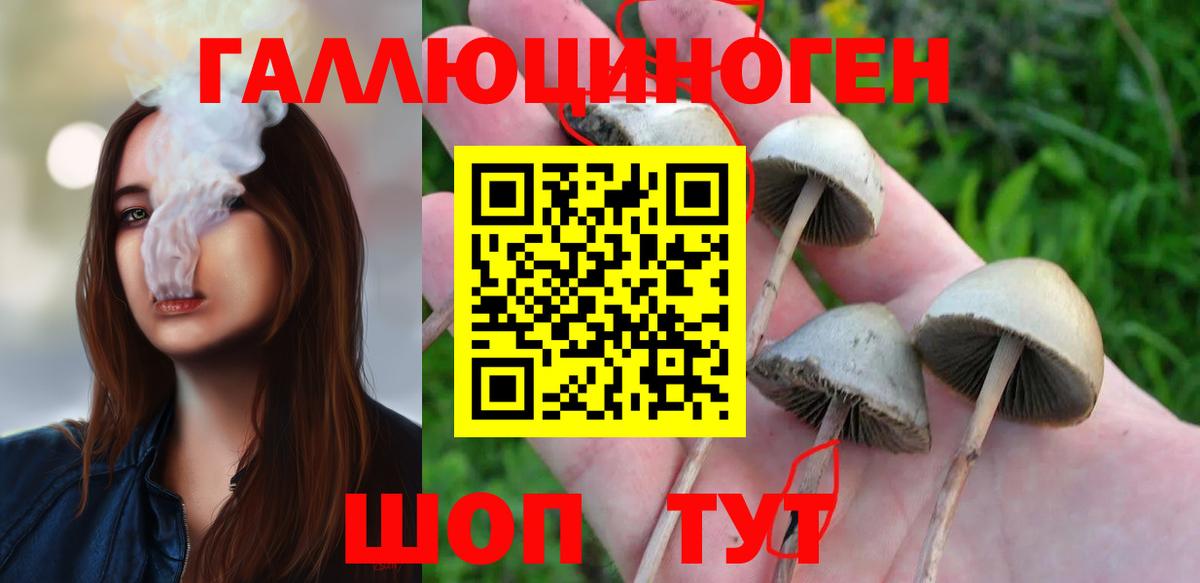Галлюциногенные грибы GOLDEN TEACHER Углич