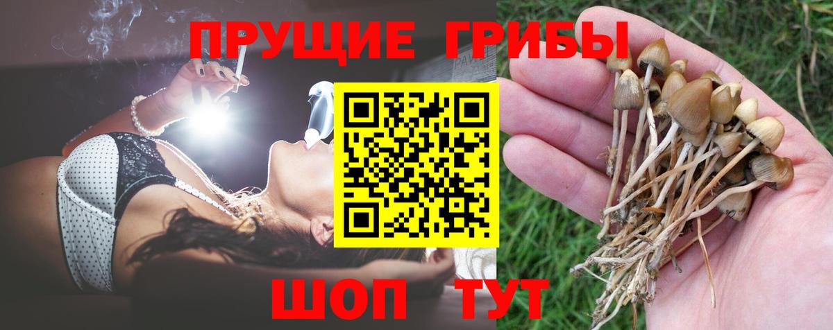 Псилоцибиновые грибы мицелий  Вход с VPN  Углич  Галлюциногенные грибы ЛСД 